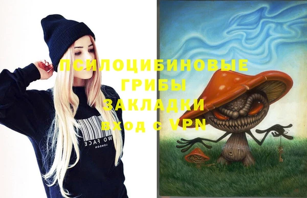 гашик Туринск